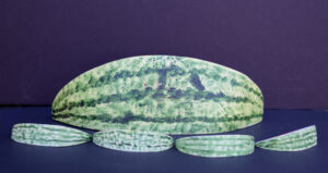 Watermelons dated 1986 by Ned Cartledge (1 large, 4 small) acrylic on shaped wood 4.5" x 13.5" x 4" large 1.75" x 4" x 1" small $500 #13094